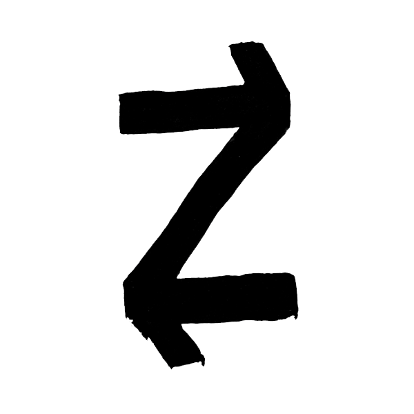la revue z , éditions de la dernière lettre